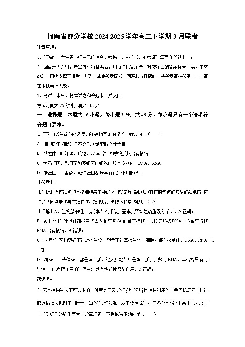 河南省部分学校2024-2025学年高三下学期3月联考生物（解析版）第1页
