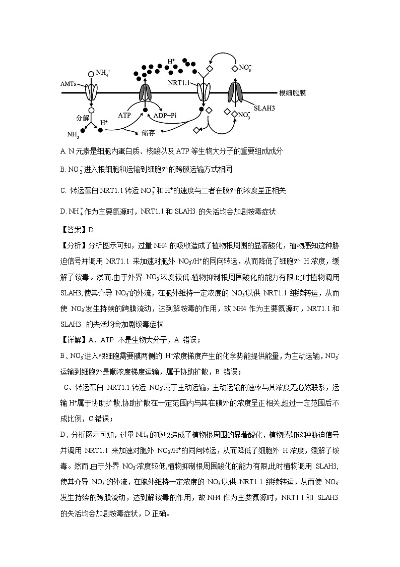 河南省部分学校2024-2025学年高三下学期3月联考生物（解析版）第2页