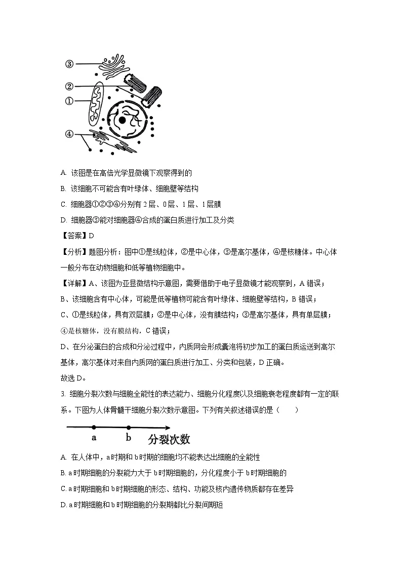 湖南省部分校联考2024-2025学年高一下学期3月检测（II卷）生物试题（解析版）第2页