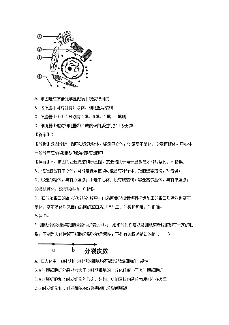 湖南省部分校联考2024-2025学年高一下学期3月检测（II卷）生物试题（解析版）第2页