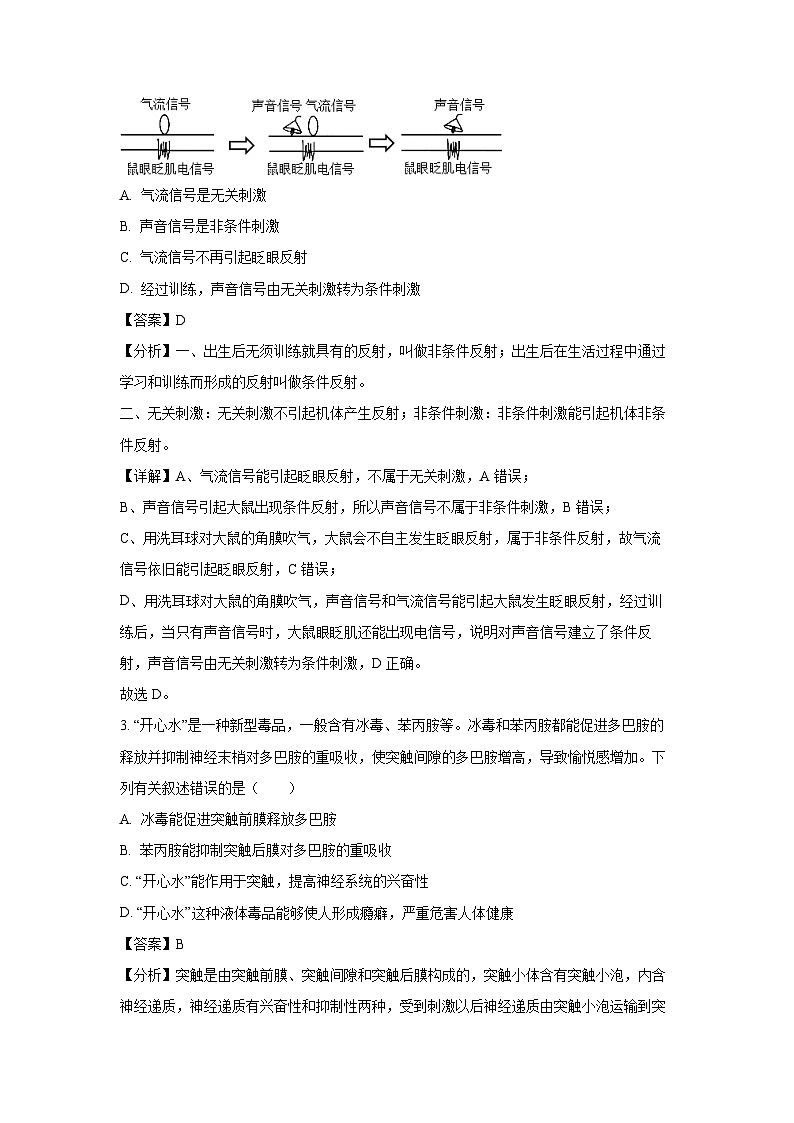 湖南省邵阳市新邵县2024-2025学年高二上学期期末考试生物（解析版）第2页