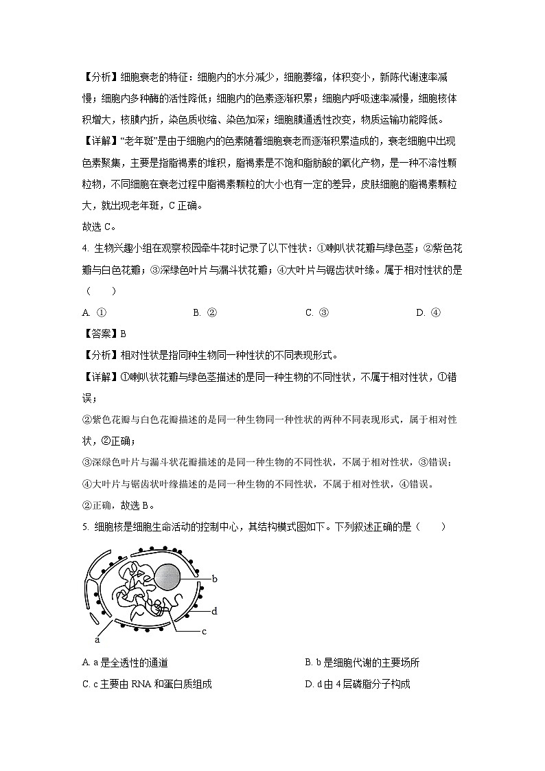 浙江省强基联盟2024-2025学年高一下学期3月月考生物试题（解析版）第2页