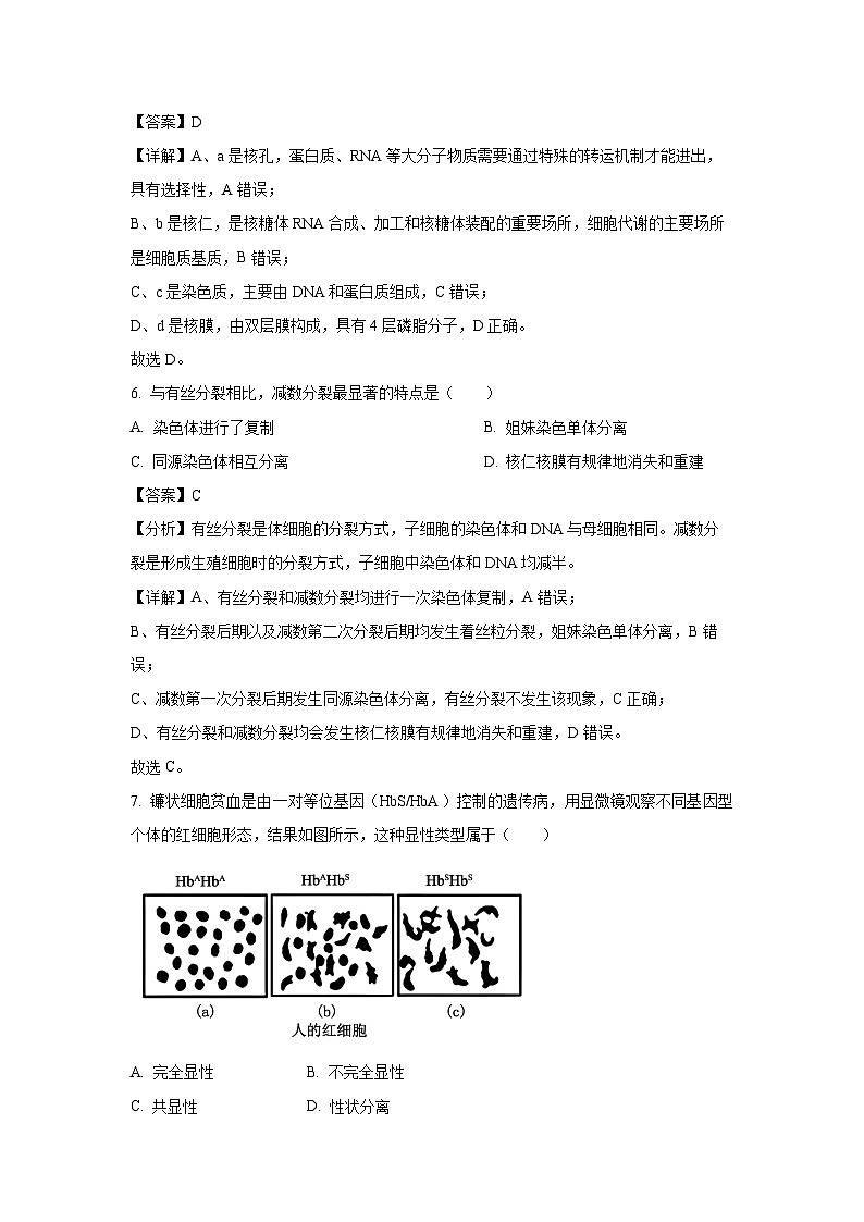 浙江省强基联盟2024-2025学年高一下学期3月月考生物试题（解析版）第3页