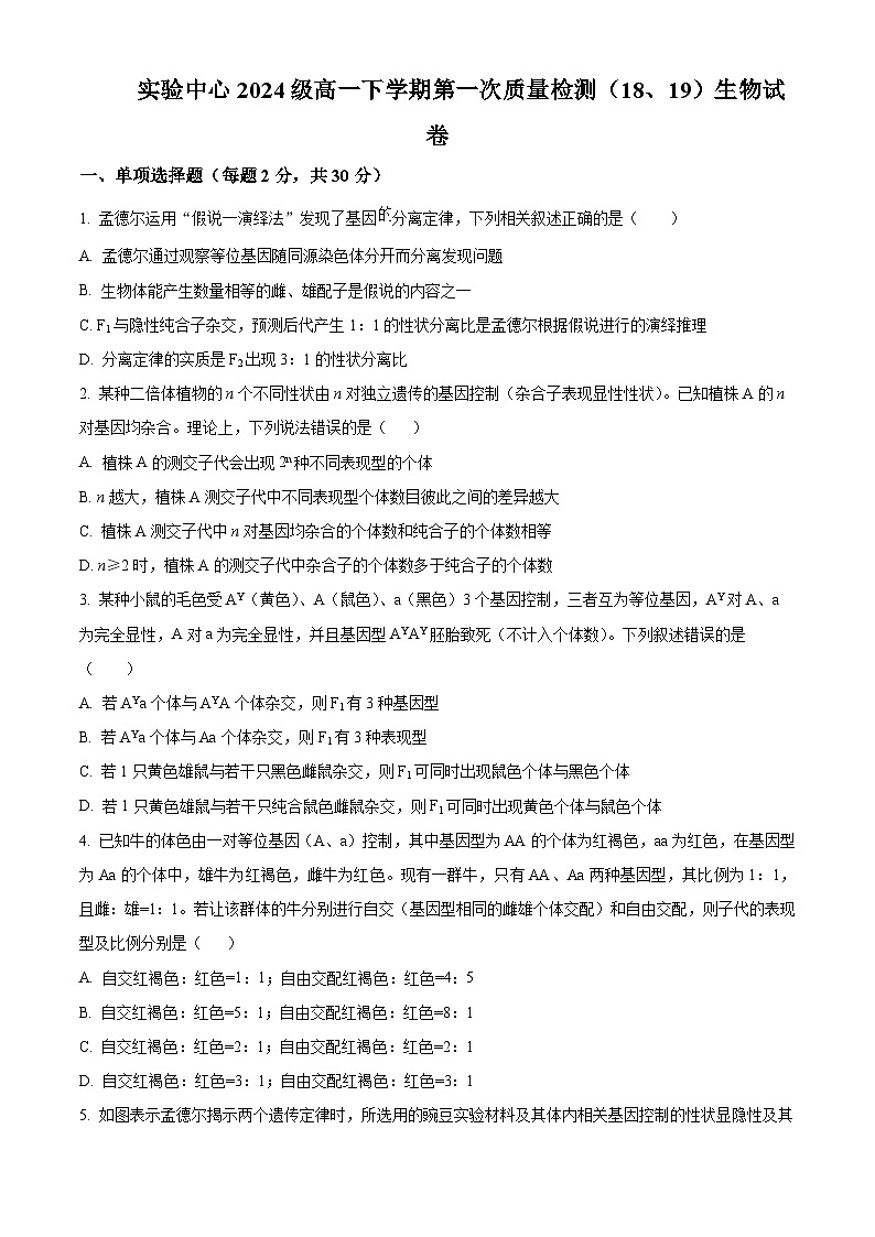 山东省滨州市惠民县第一中学2024-2025学年高一下学期第一次月考生物试题（原卷版+解析版）第1页
