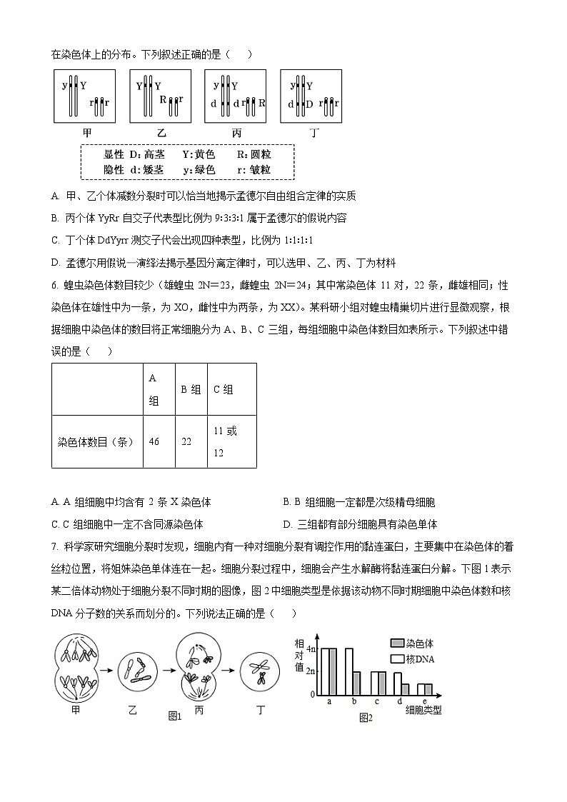 山东省滨州市惠民县第一中学2024-2025学年高一下学期第一次月考生物试题（原卷版+解析版）第2页