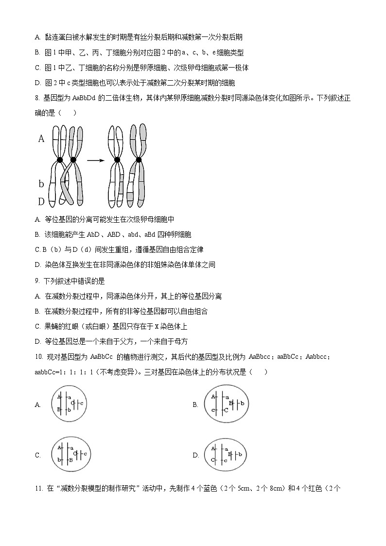 山东省滨州市惠民县第一中学2024-2025学年高一下学期第一次月考生物试题（原卷版+解析版）第3页