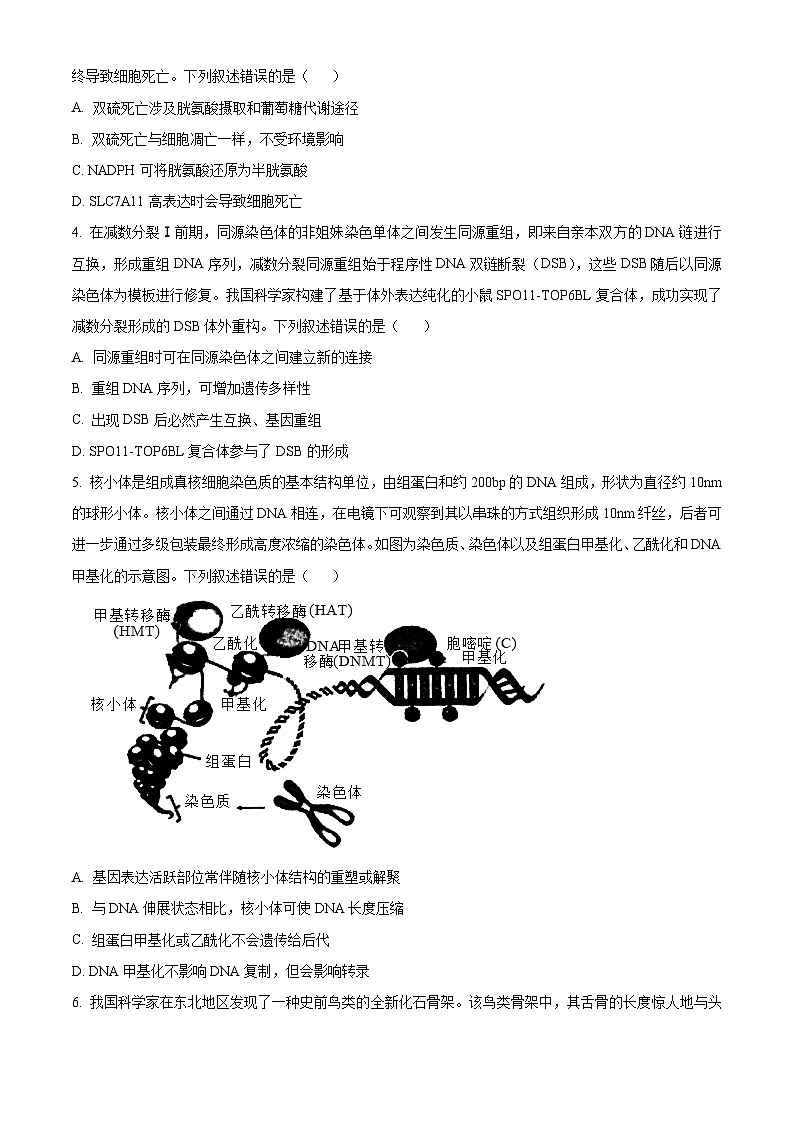 山东省部分学校2025届高三下学期4月联考生物试题（原卷版+解析版）第2页