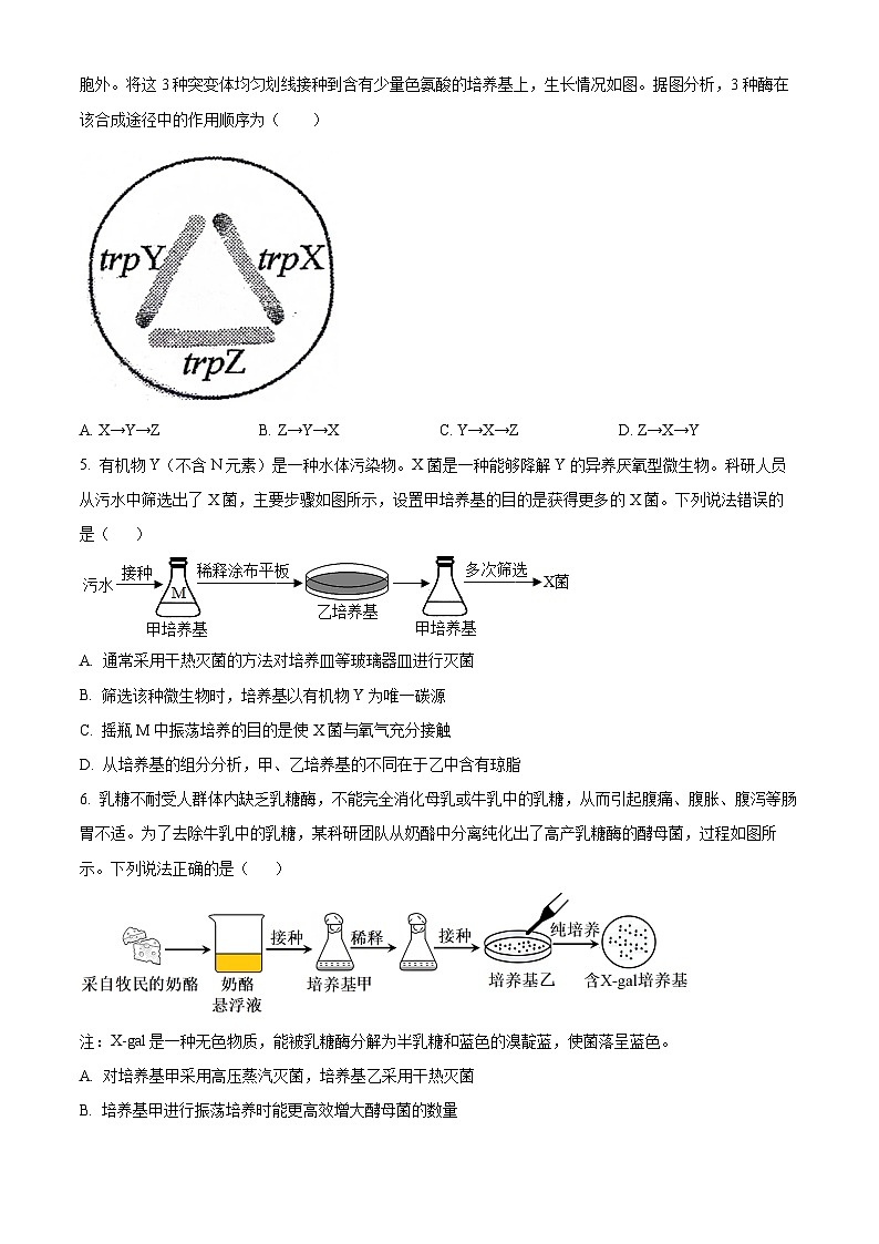 山东省菏泽市曹县第一中学2024-2025学年高二下学期第一次月考生物试题（原卷版+解析版）第2页
