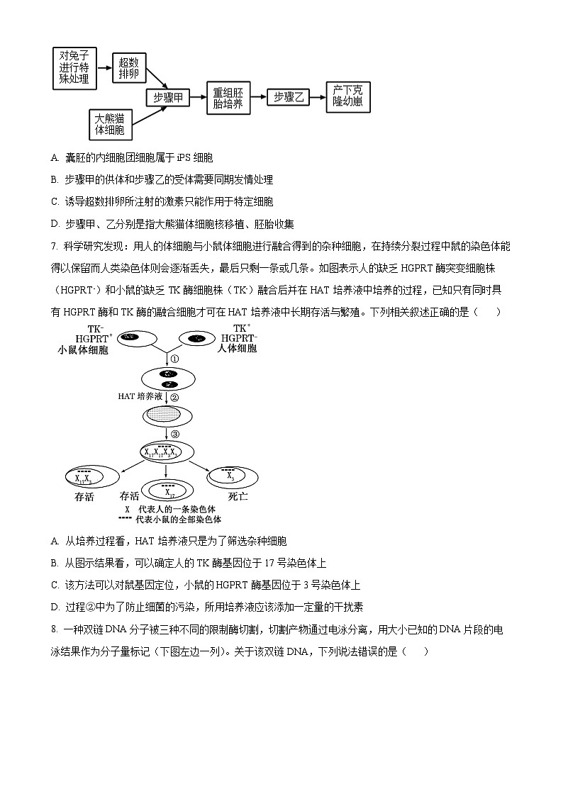 山东省济宁市邹城市邹城市兖矿第一中学2024-2025学年高二下学期3月月考生物试题（原卷版+解析版）第3页