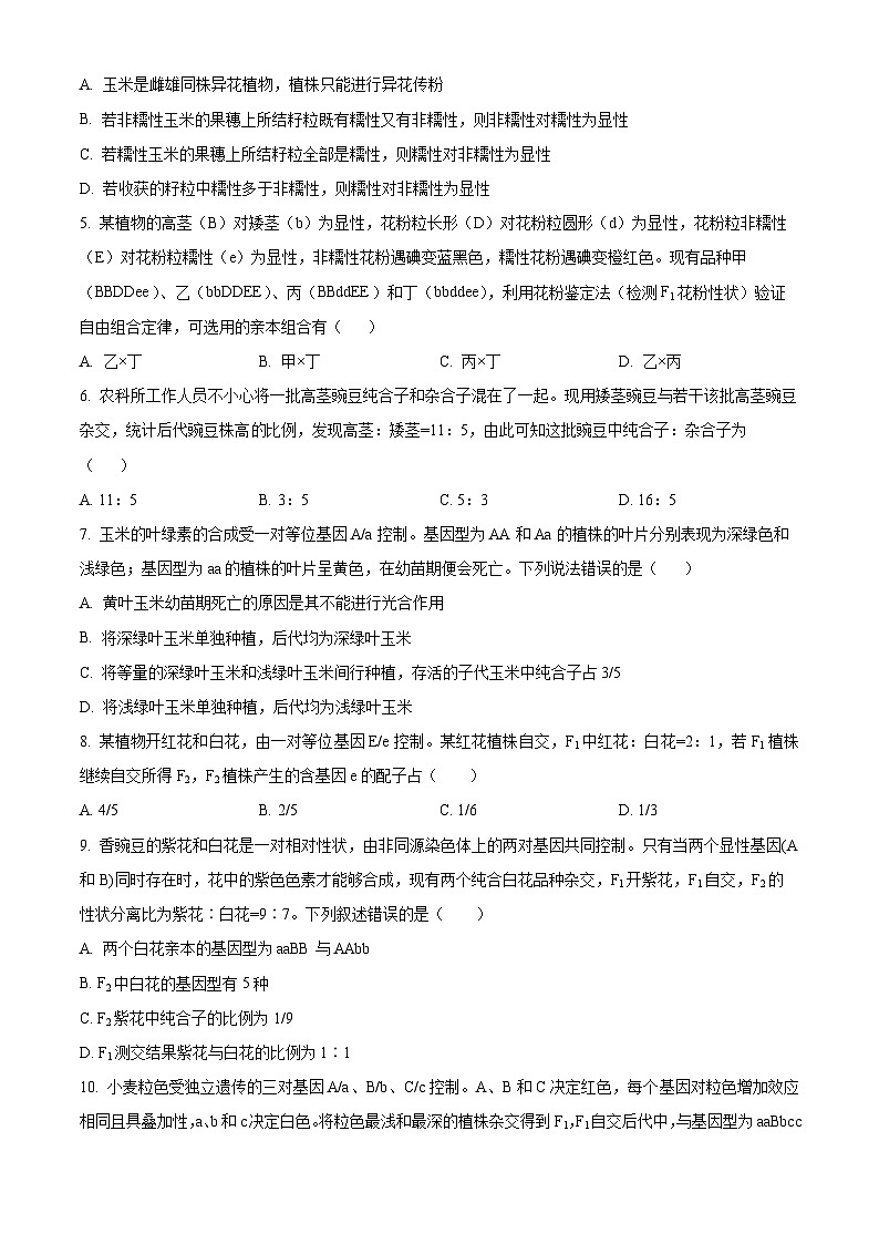 山东省聊城第一中学老校区2024-2025学年高一下学期第一次月考生物试题（原卷版+解析版）第2页