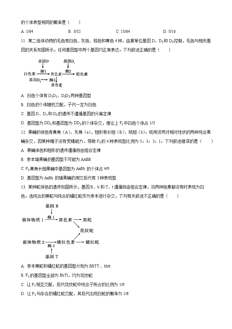 山东省聊城第一中学老校区2024-2025学年高一下学期第一次月考生物试题（原卷版+解析版）第3页