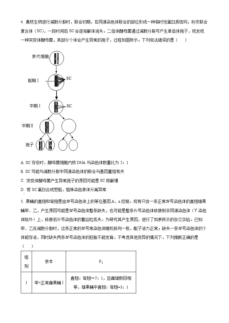 山东省名校考试联盟2024-2025学年高三下学期3月高考模拟考试生物试题 （原卷版+解析版）第2页
