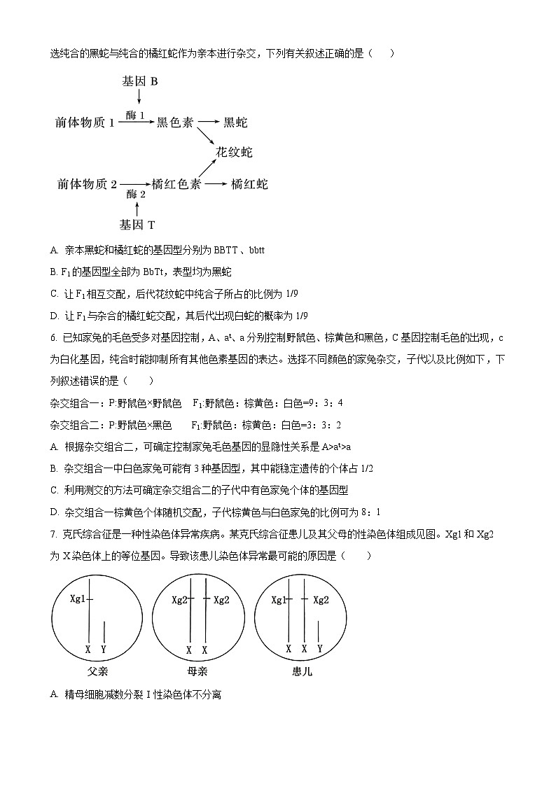 山东省日照市莒县第一中学2024-2025学年高一下学期3月月考生物试题（原卷版+解析版）第2页
