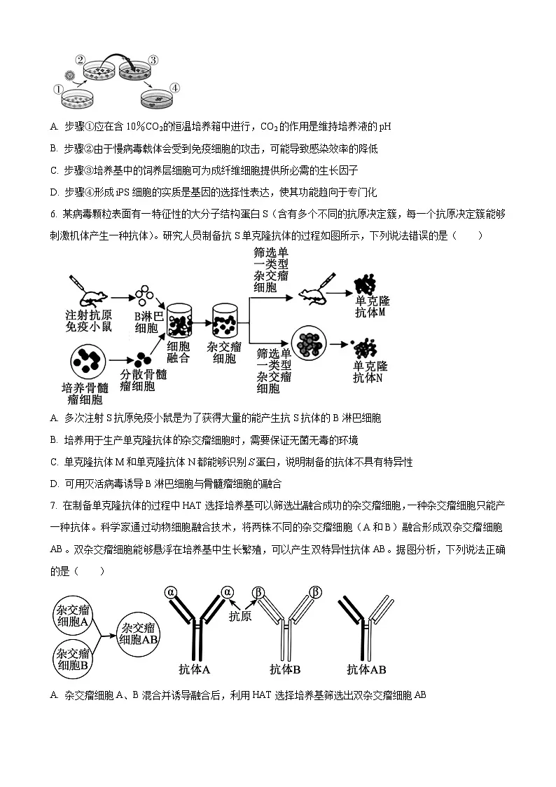 山东省潍坊市青州第一中学2024-2025学年高二下学期3月月月考生物试题（原卷版+解析版）第2页
