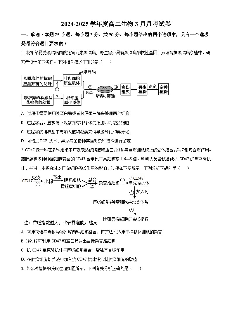 山东省邹城市第一中学2024-2025学年高二下学期3月月考生物试题（原卷版+解析版）第1页
