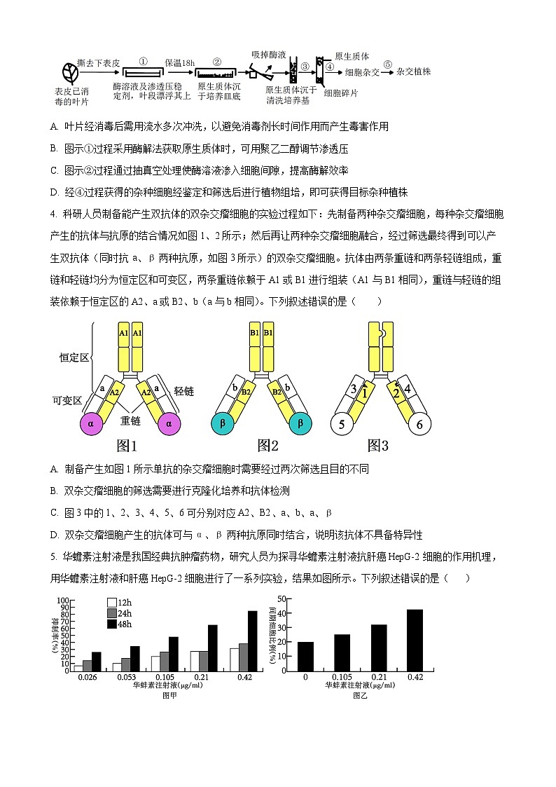 山东省邹城市第一中学2024-2025学年高二下学期3月月考生物试题（原卷版+解析版）第2页