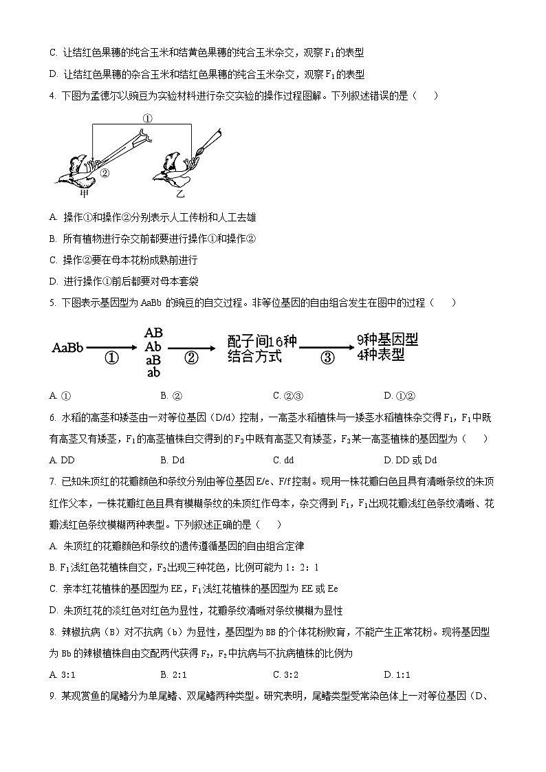 山西省部分重点中学2024-2025学年高一下学期4月月考生物试卷（原卷版+解析版）第2页