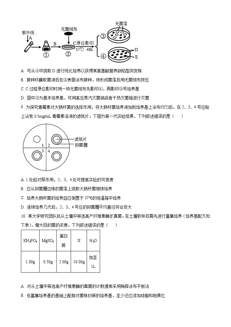 山西省临汾市部分学校2024-2025学年高二下学期第一次月考生物试题（原卷版+解析版）第3页