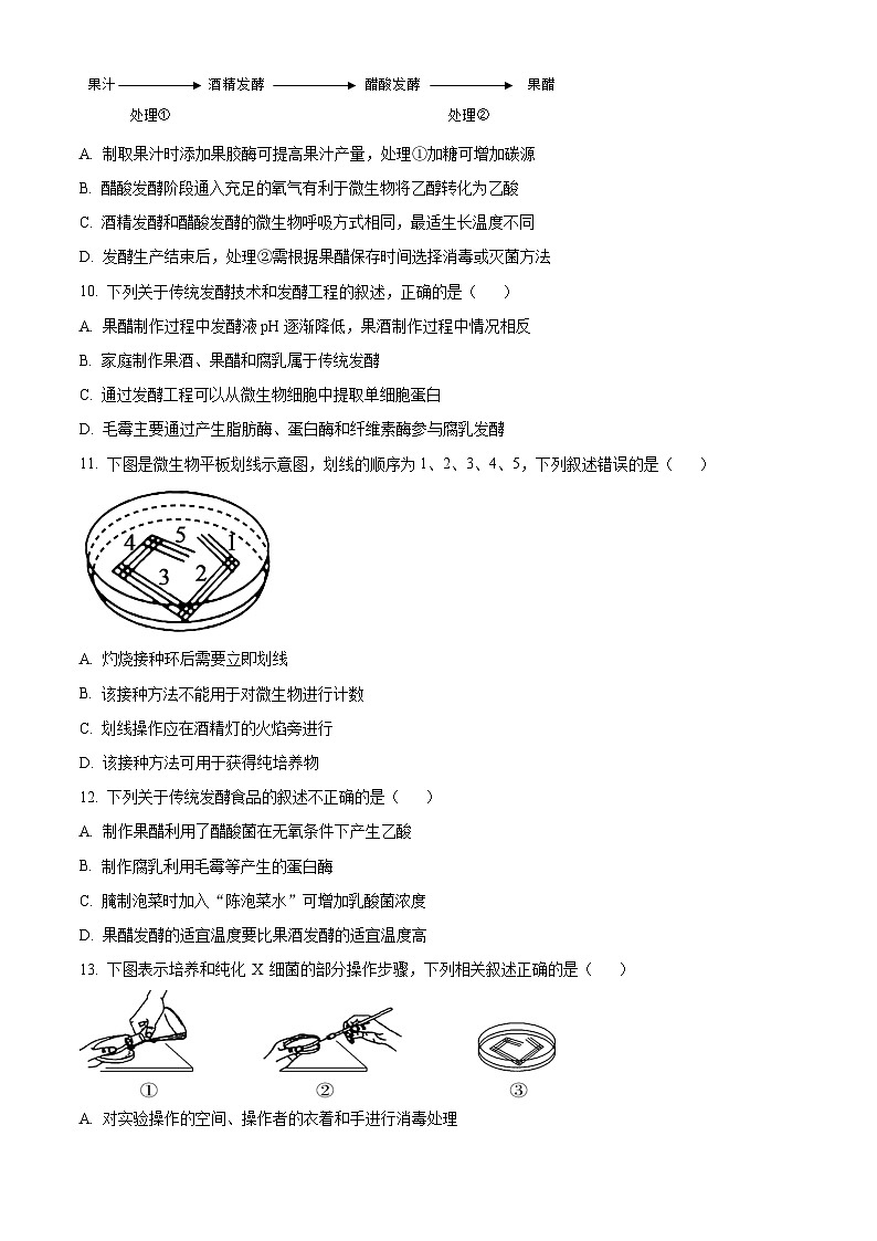 陕西省铜川市第一中学2024-2025学年高二下学期第一次月考生物试卷（原卷版+解析版）第3页