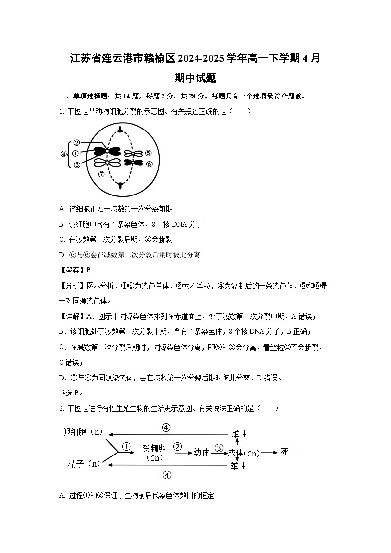 江苏省连云港市赣榆区2024-2025学年高一下学期4月期中生物试题（解析版）第1页