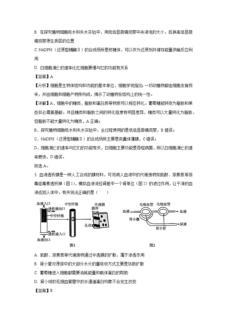江西省宜春市2025届高三模拟生物试题（解析版）第2页