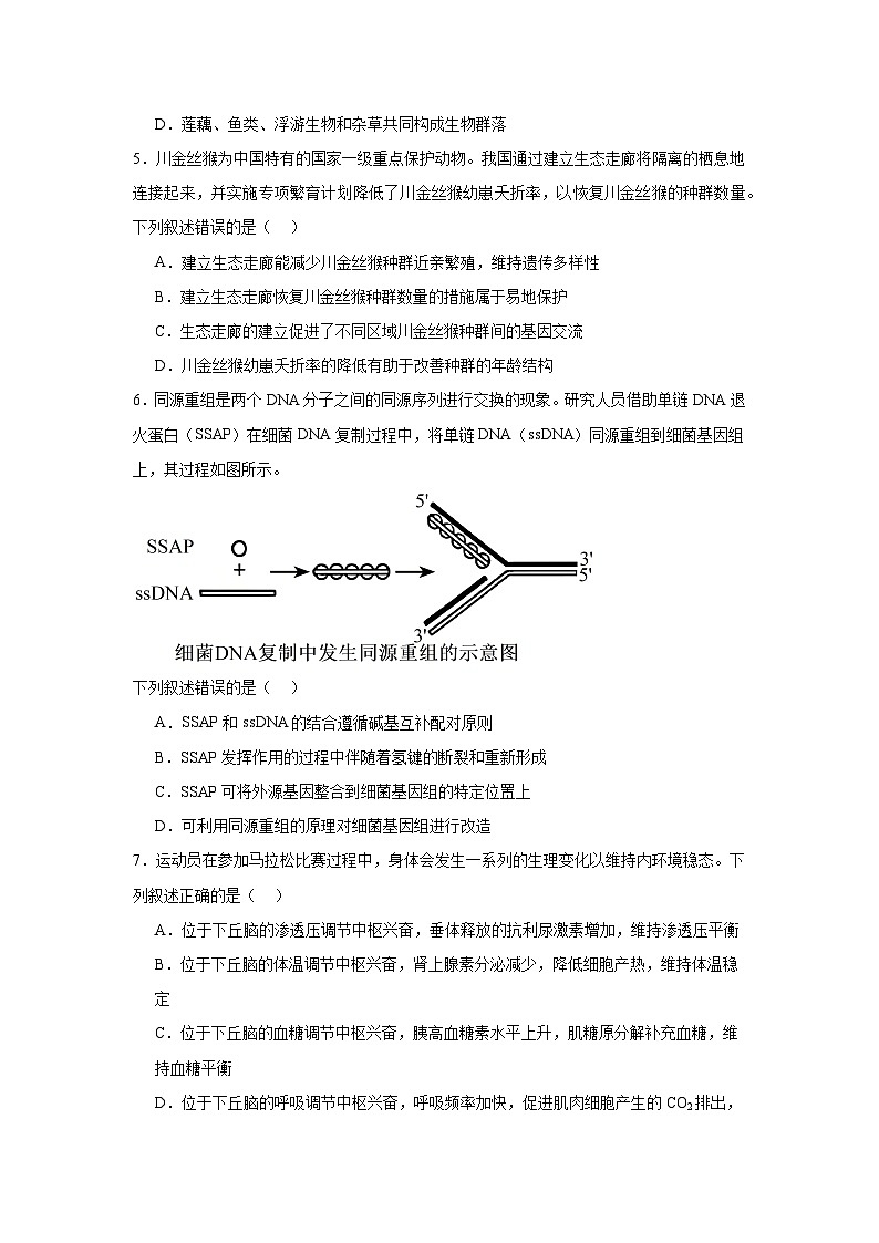 2025届河南省开封市等2地高三模拟预测生物试题（无答案）第2页