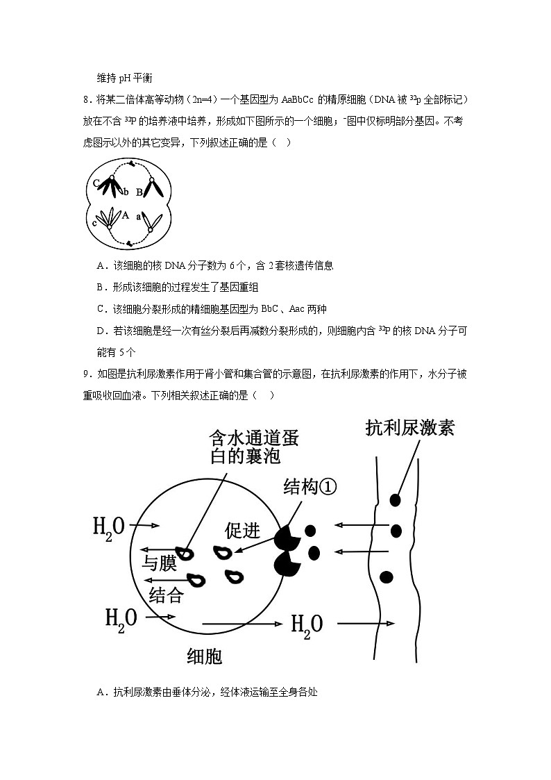 2025届河南省开封市等2地高三模拟预测生物试题（无答案）第3页