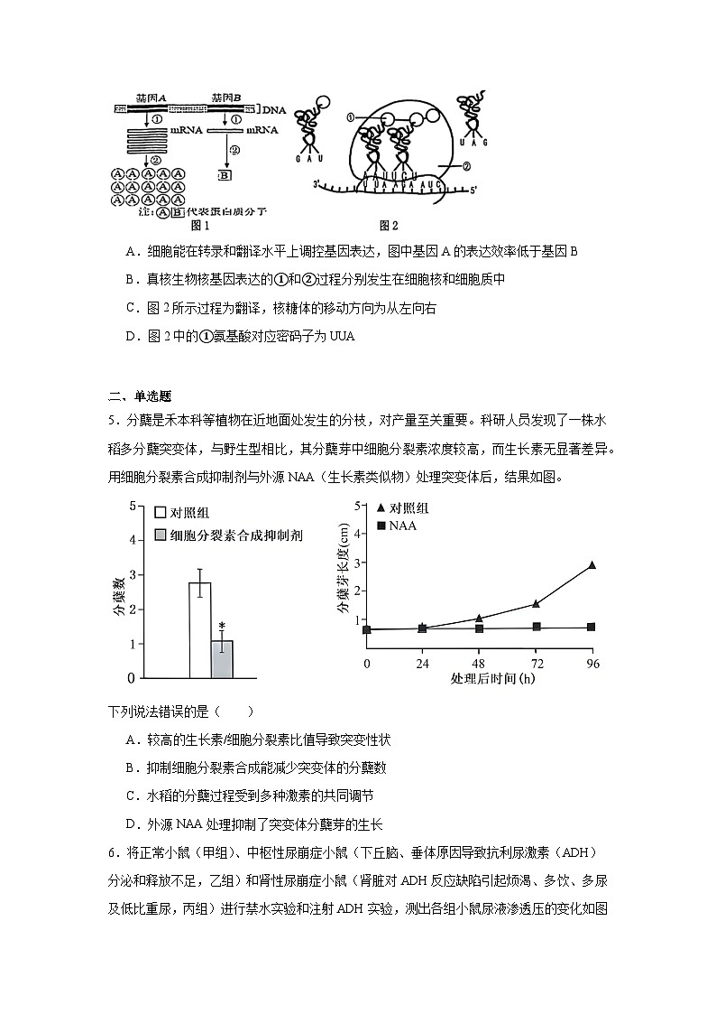 2025届天津市滨海新区高三三模生物试题（无答案）第2页