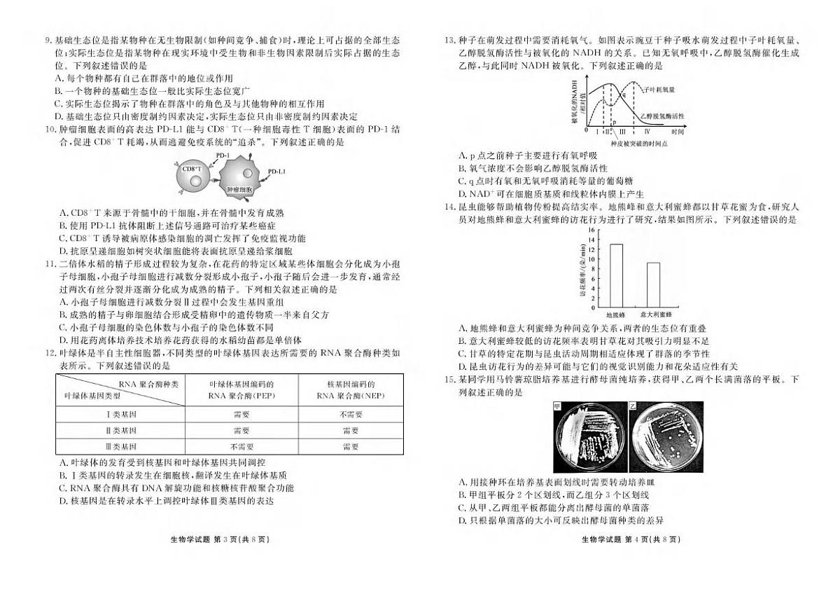 生物丨衡水金卷广东省2025届高三下学期5月份联考试卷及答案第2页