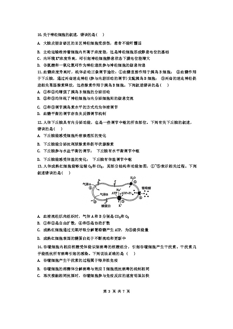 广东省深圳市高级中学2024-2025学年高二上学期期中考试生物试题第3页