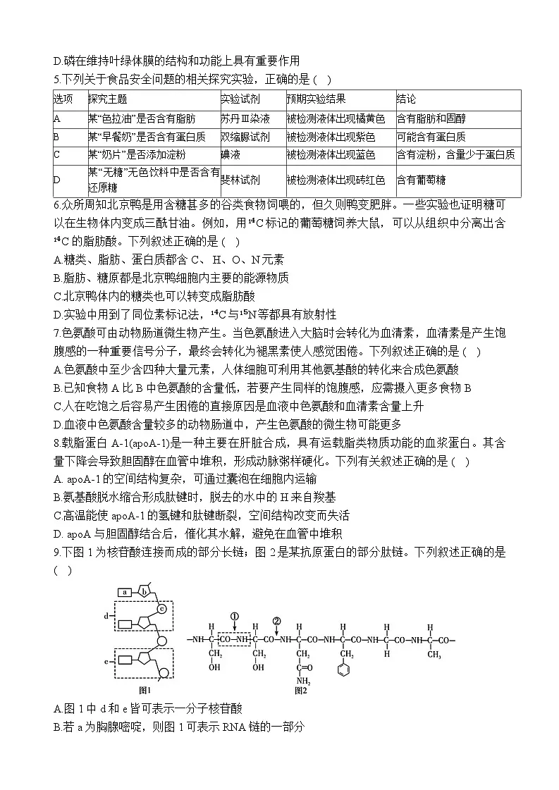 广东省深圳市高级中学2024-2025学年高一上学期期末考试生物试题第2页
