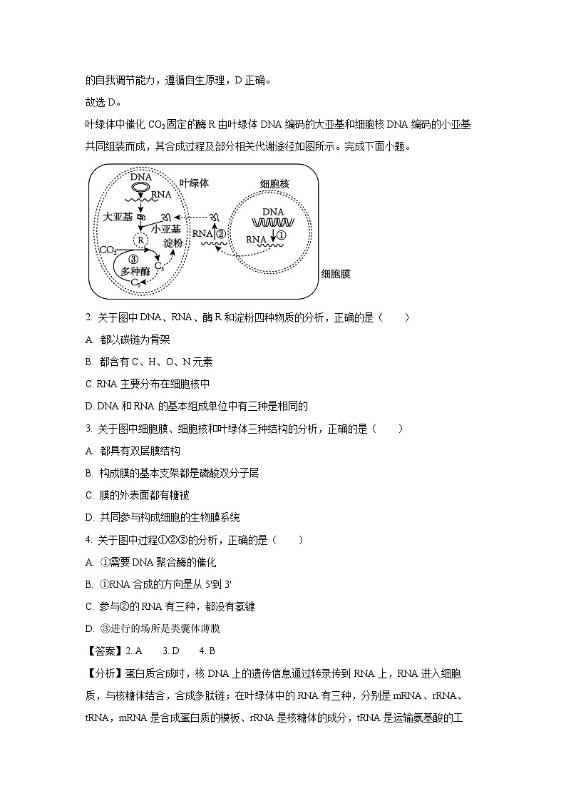 2024届广东省高三二模考试生物（解析版）第2页