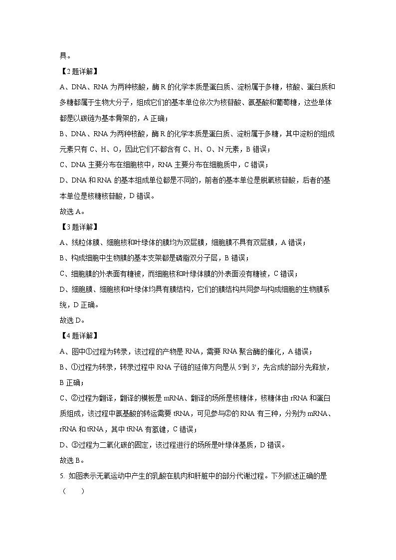 2024届广东省高三二模考试生物（解析版）第3页