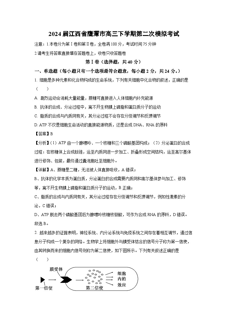 2024届江西省鹰潭市高三下学期第二次模拟考试生物（解析版）第1页