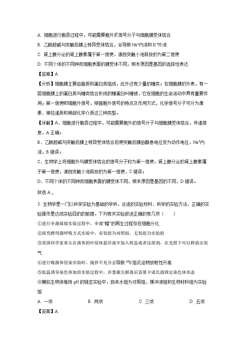 2024届江西省鹰潭市高三下学期第二次模拟考试生物（解析版）第2页