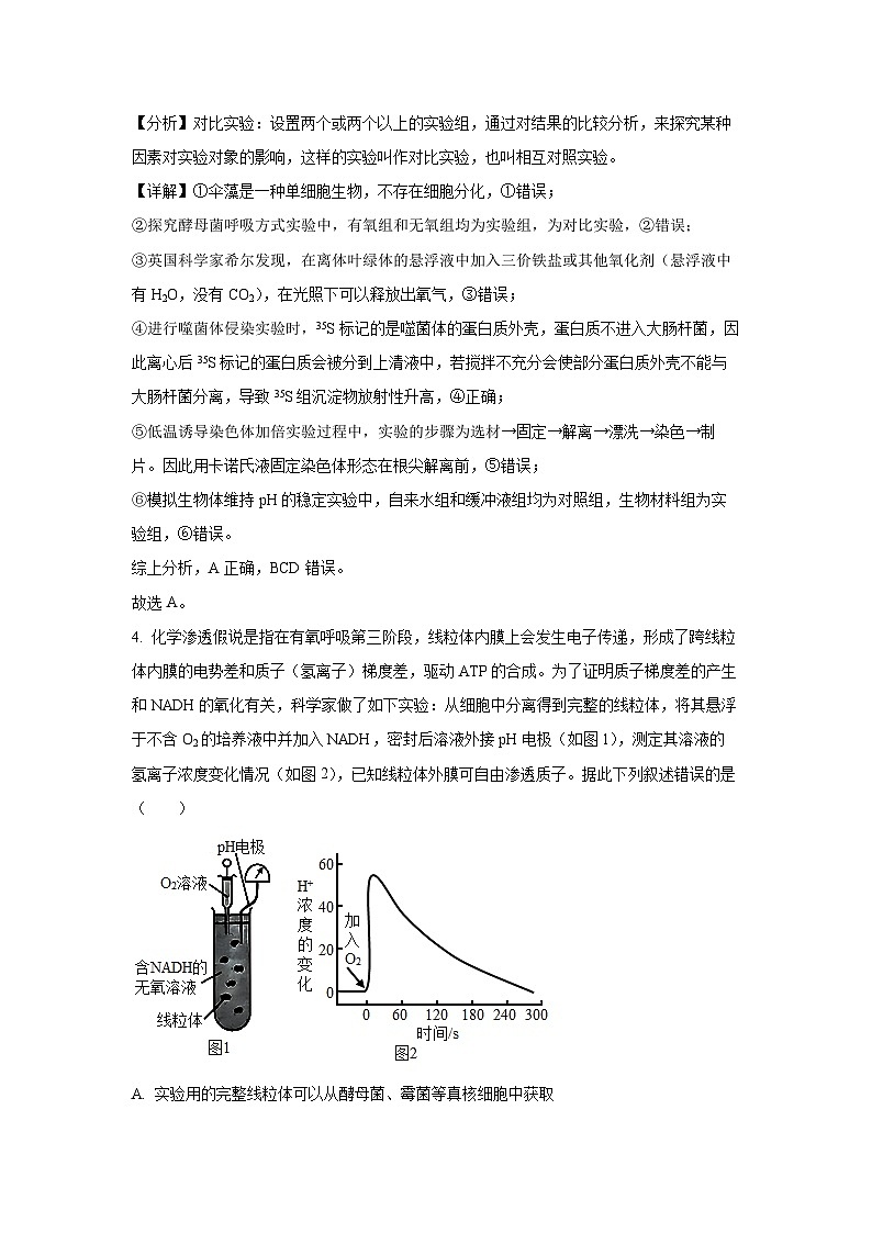 2024届江西省鹰潭市高三下学期第二次模拟考试生物（解析版）第3页