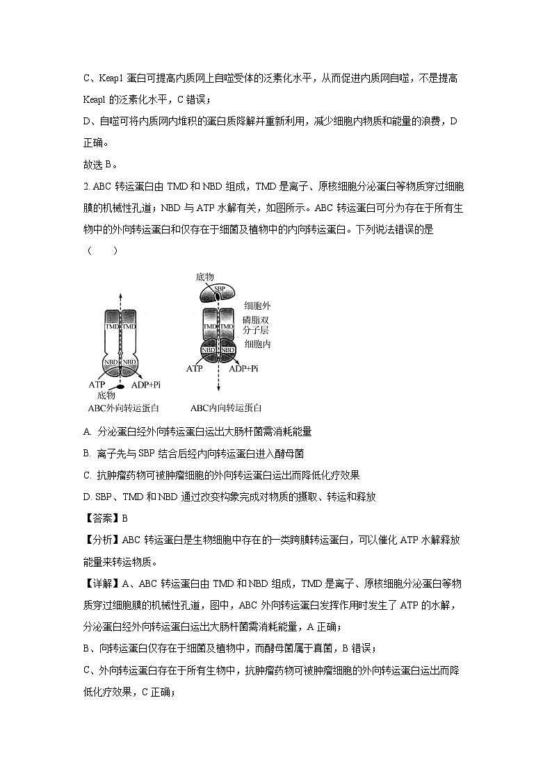 2024届山东省滨州市高三下学期5月二模生物试卷（解析版）第2页