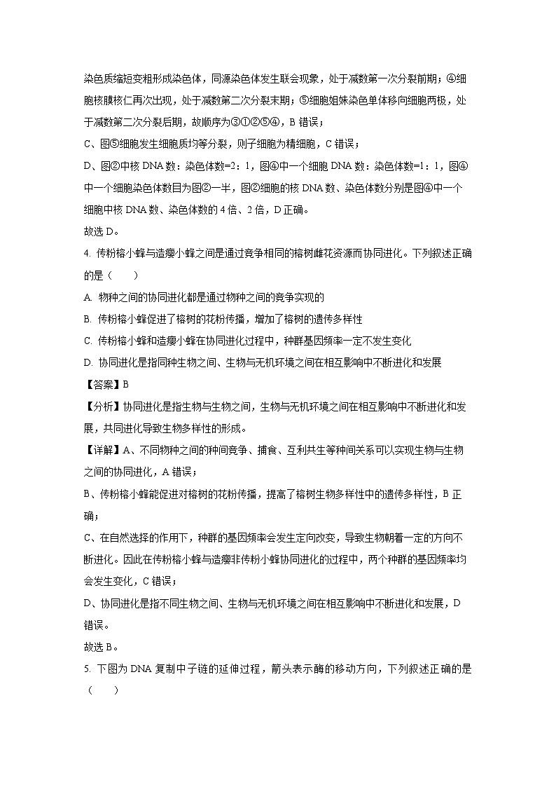 福建省厦门市2023-2024学年高一下学期7月期末质量检测生物试题（解析版）第3页