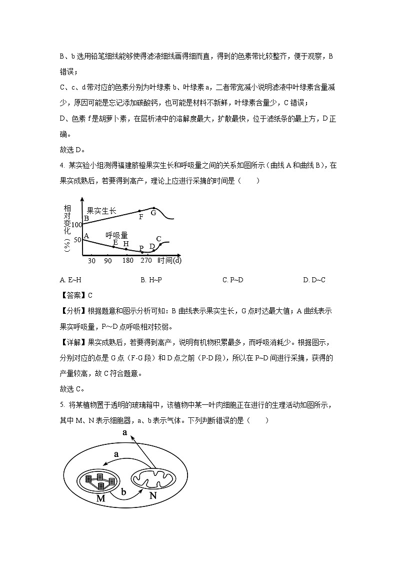 广东省惠州仲恺中学等五校2024-2025学年高一下学期4月联考生物试卷（解析版）第3页