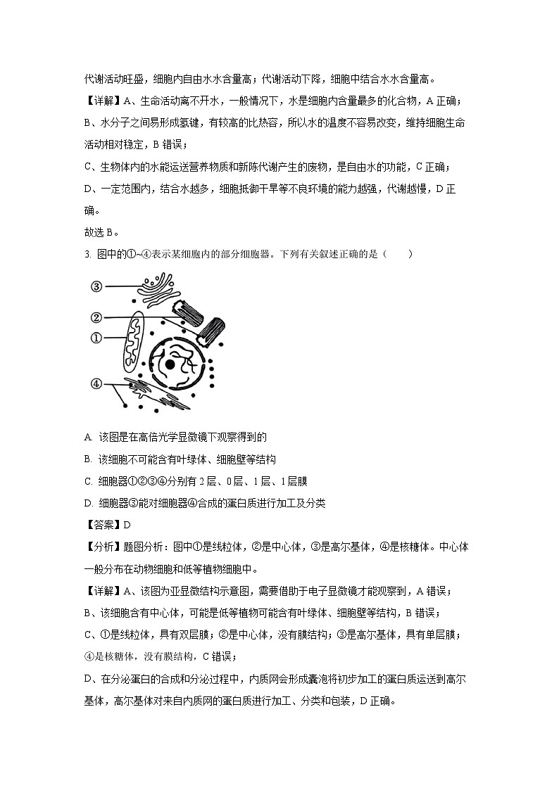 贵州省部分学校2024-2025学年高一下学期3月月考生物试题（解析版）第2页