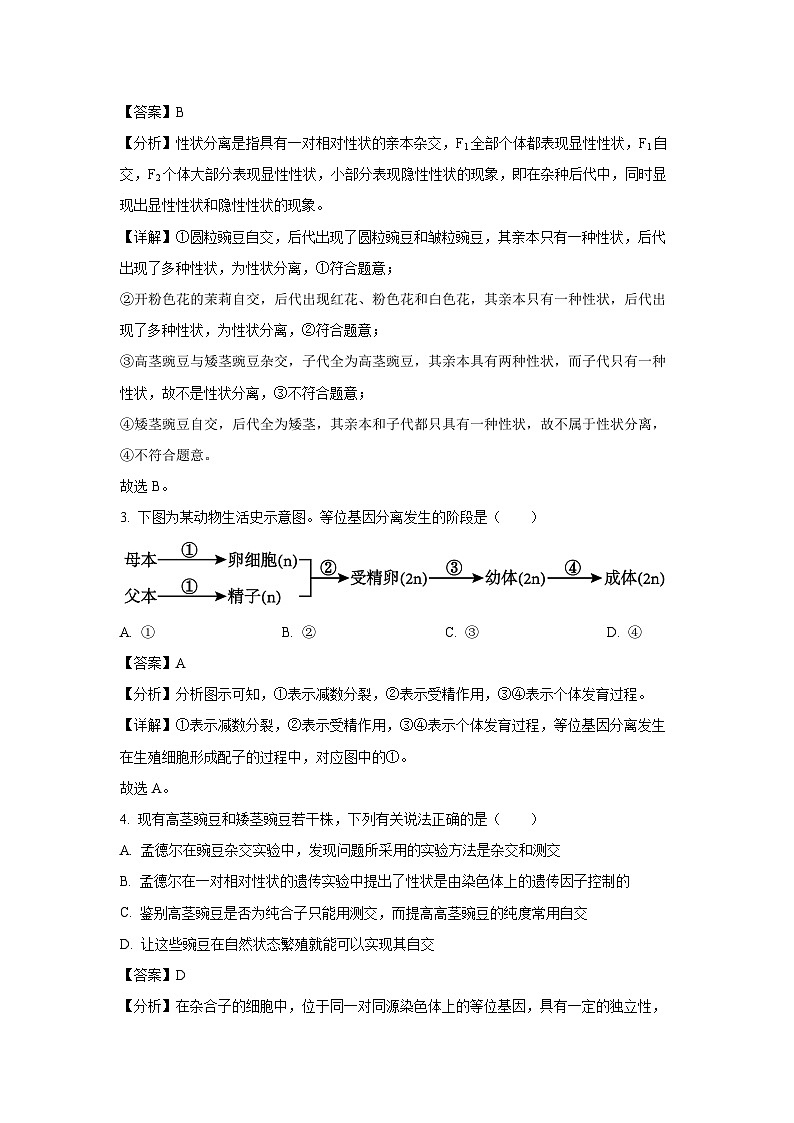 河南省驻马店市环际大联考2024-2025学年高一下学期3月月考生物试题（解析版）第2页