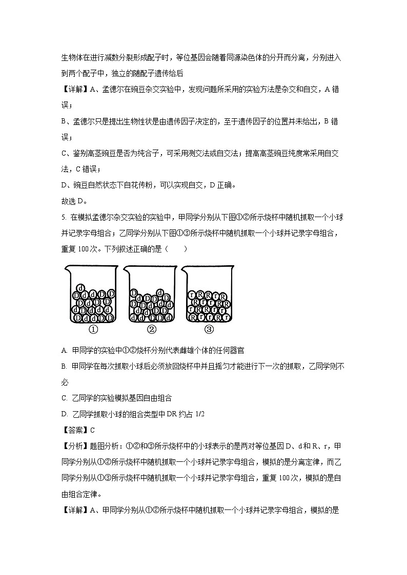 河南省驻马店市环际大联考2024-2025学年高一下学期3月月考生物试题（解析版）第3页