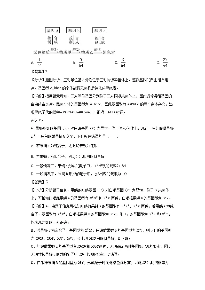 江苏苏州某校2024-2025学年高一下学期阶段测试生物试题（解析版）第2页