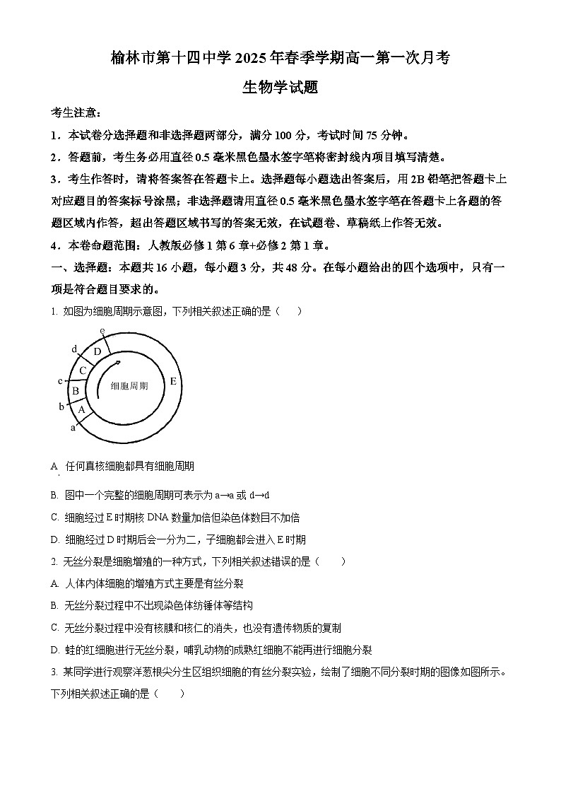 陕西省榆林市第十四中学2024-2025学年高一下学期3月月考生物试题（原卷版+解析版）第1页