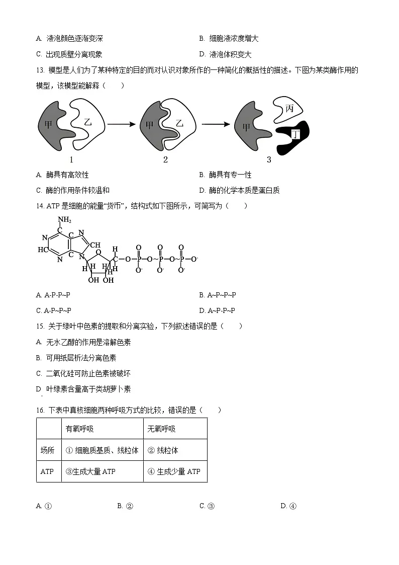 陕西省柞水中学2024-2025学年高一下学期3月月考生物试题（原卷版+解析版）第3页