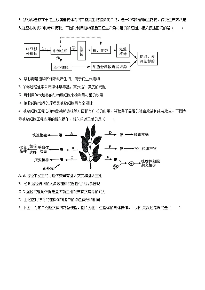 四川省成都外国语学校2024-2025学年高二下学期期中检测生物试题（原卷版+解析版）第2页