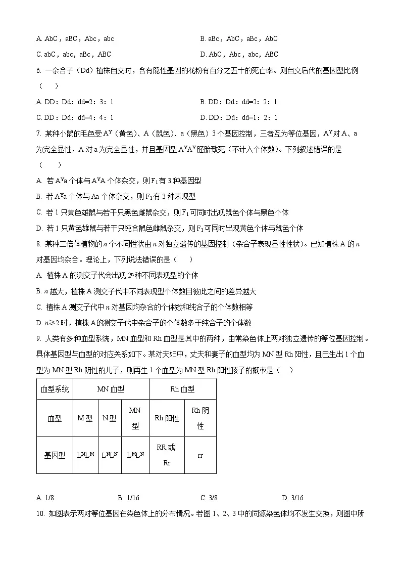 四川省眉山市彭山区第一中学2024-2025学年高一下学期4月月考生物试题（原卷版+解析版）第2页