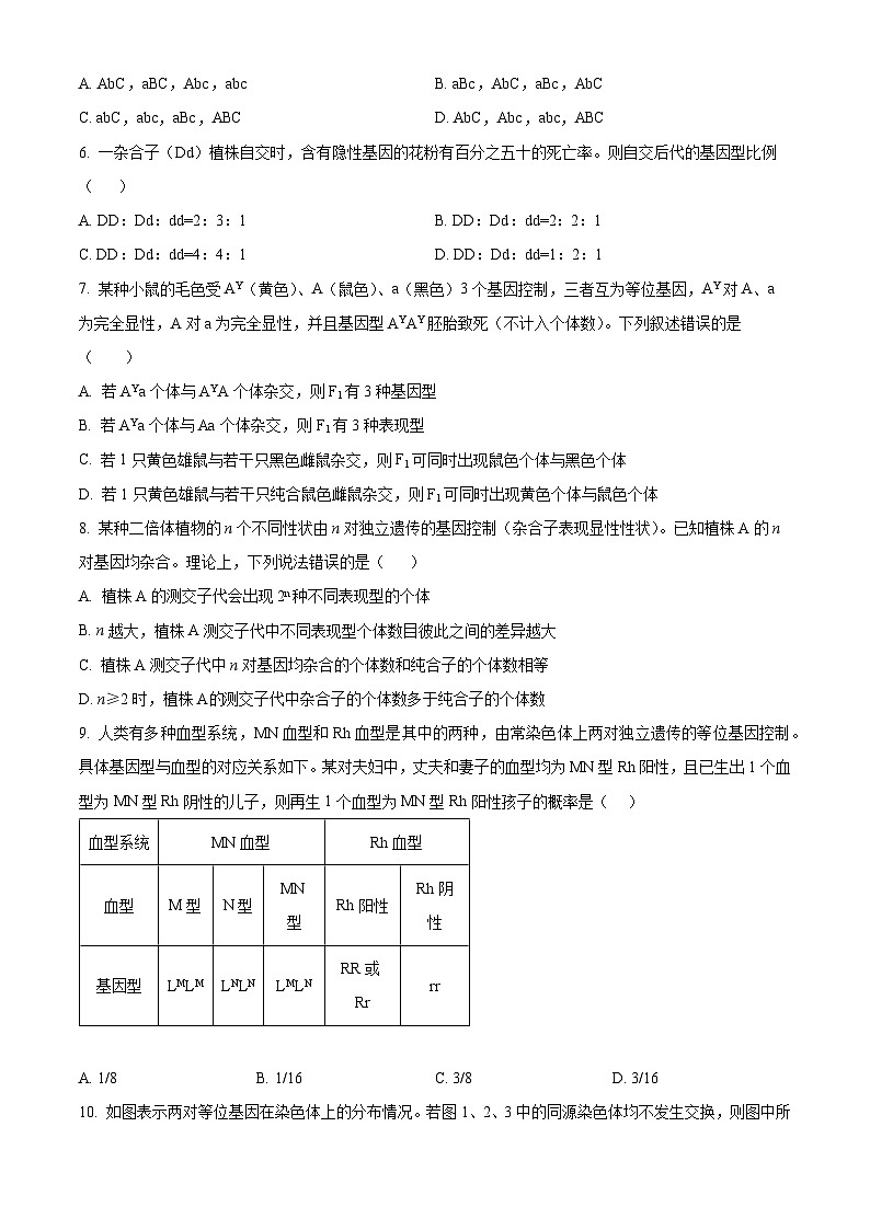 四川省眉山市彭山区第一中学2024-2025学年高一下学期4月月考生物试题（原卷版+解析版）第2页