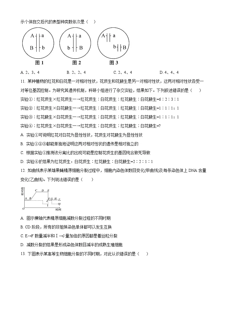 四川省眉山市彭山区第一中学2024-2025学年高一下学期4月月考生物试题（原卷版+解析版）第3页