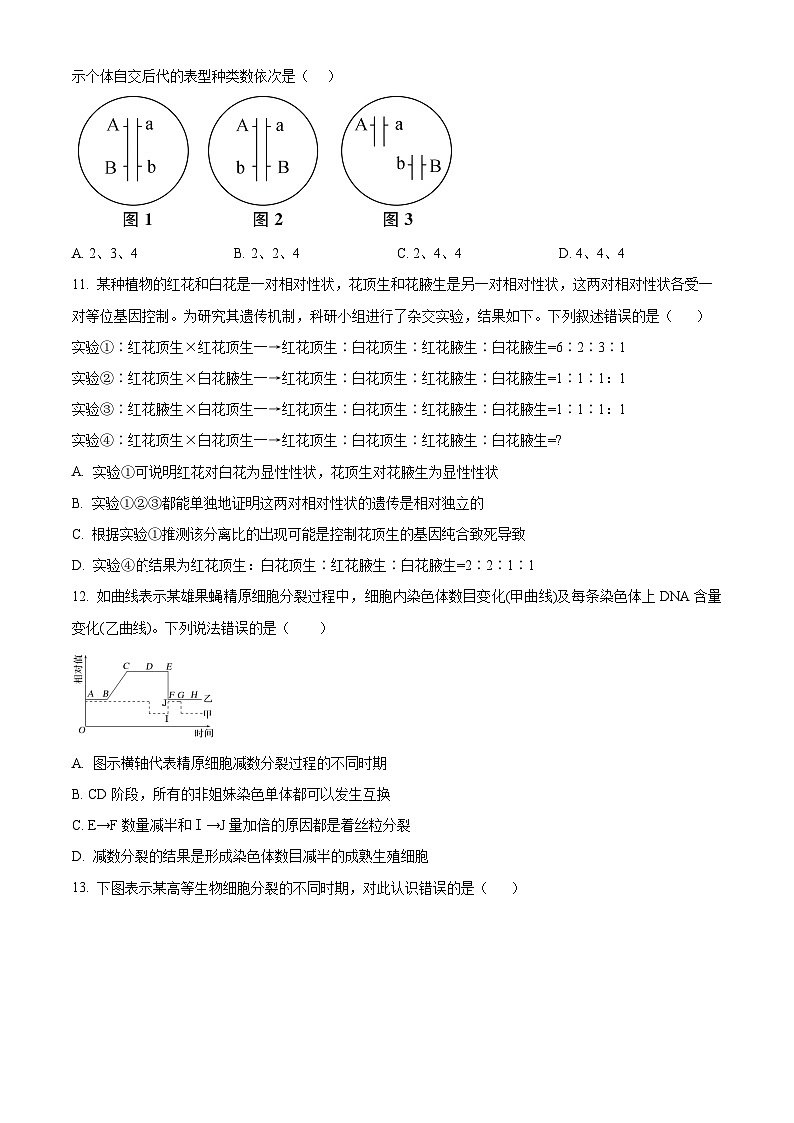 四川省眉山市彭山区第一中学2024-2025学年高一下学期4月月考生物试题（原卷版+解析版）第3页